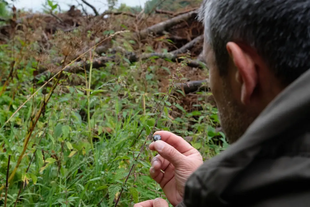 Anvisieren eines Zieles mit dem Knopfkompass beim Überlebenstraining