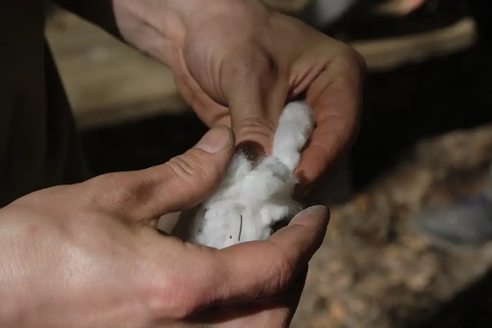 Tampon als perfekter Feuerstarter beim Survival