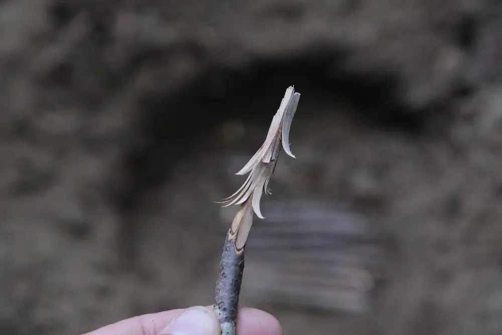 Bushcraft und Survival - Spänchen ins Zundermaterial