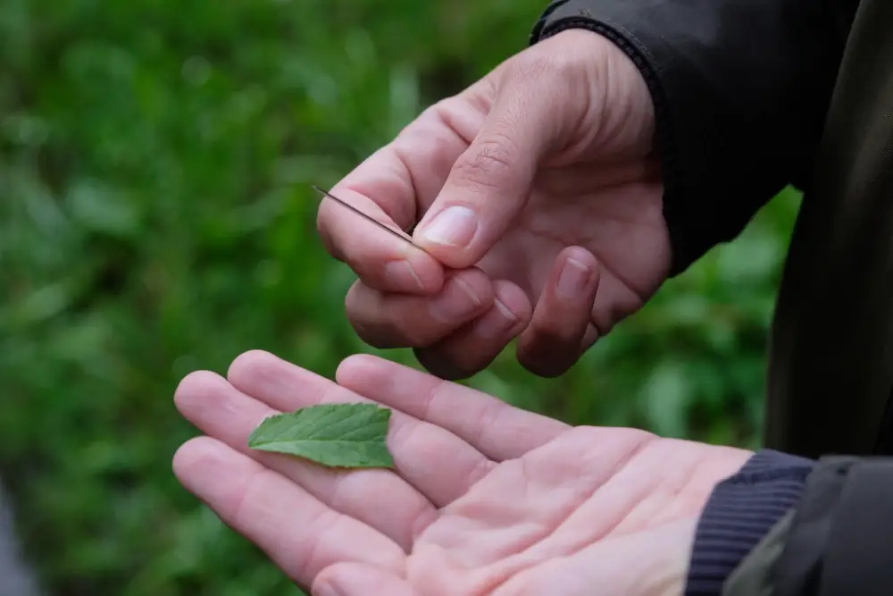 Improvisierter Survival Kompass für das Survival