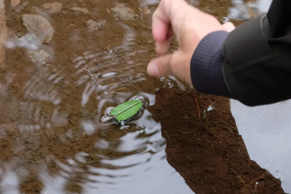 Für den Bau eines Behelfskompasses benötigst du Wasser