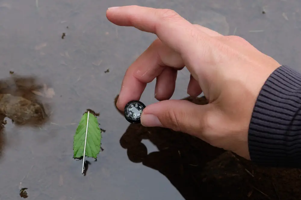 Knopfkompass vs improvisierter Kompass für das Überleben in der Wildnis