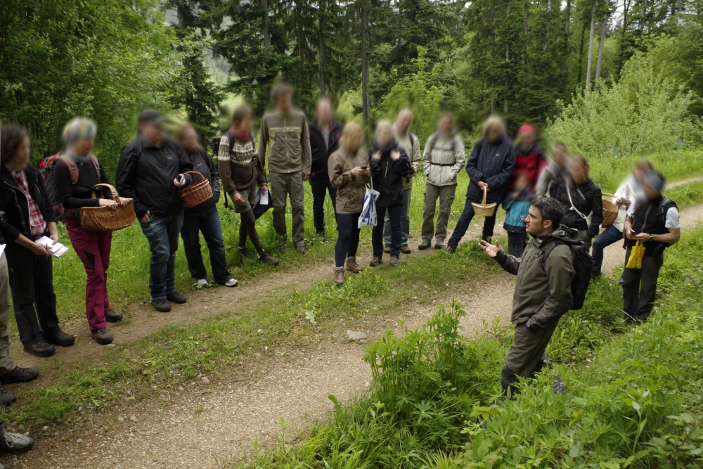 Kräuterwanderung im Schwarzwald bei Freiburg