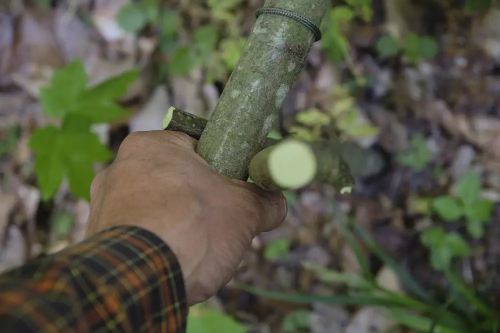 Bushcraft Technik