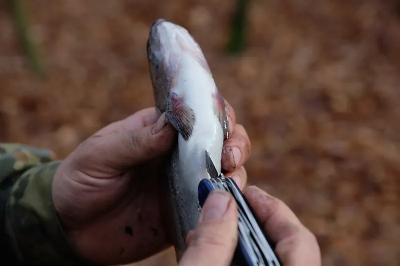 Fischzubereitung beim letzten WILD Master