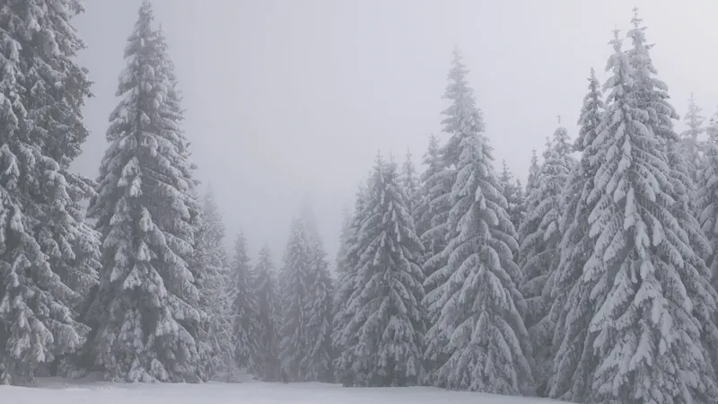 Winter Survival Training im Schwarzwald