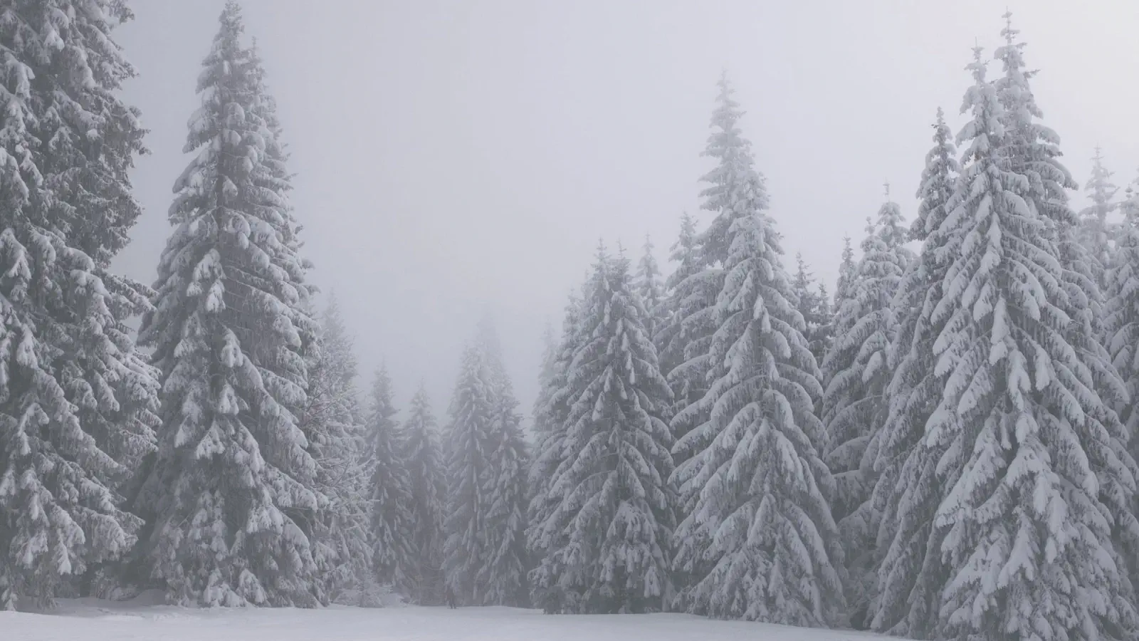 Überlebenstraining im Winter mit Feuer und Kälteschutz